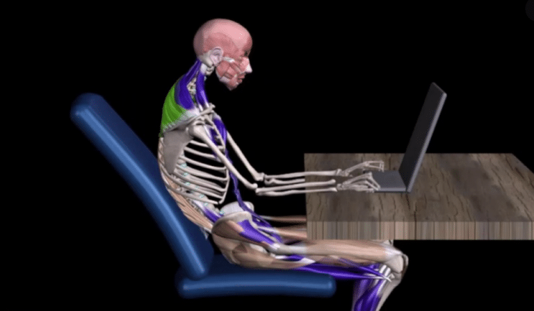 Prolonged Sitting and Back Pain